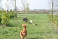 Afb_20170407w (4)